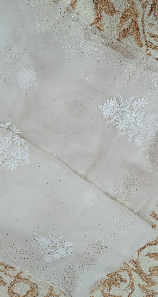 Pure Organza chikankari and mukaish dupatta